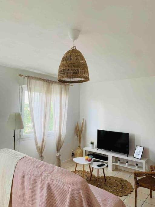 Appartement T3 Tarnos Cosy Proche De La Plage Dış mekan fotoğraf